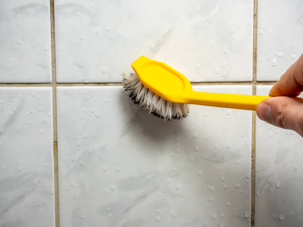 Best Commercial Mold Removal  in Little Silver, NJ