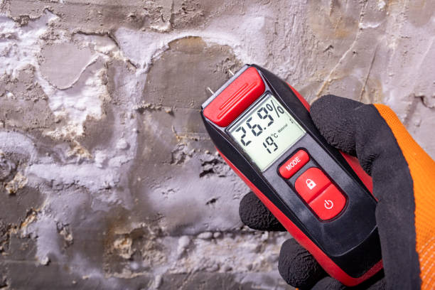 Best Mold Remediation  in Little Silver, NJ