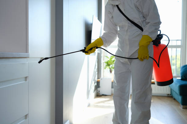 Best Commercial Mold Removal  in Little Silver, NJ